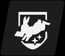 Veteran Courier